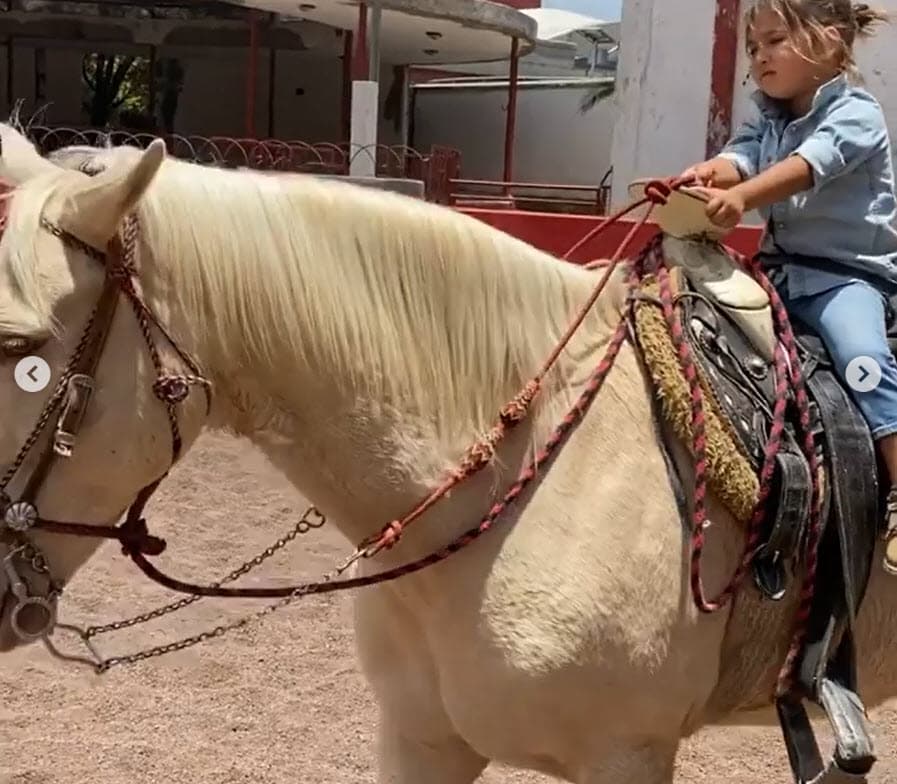 "Él 
<b><a href="https://www.univision.com/famosos/era-una-relacion-muy-toxica-michelle-renaud-cuenta-las-razones-por-las-que-su-matrimonio-fracaso-fotos" target="_blank">sabe que ahorita tengo miedo</a></b>", reconoció, "para mí es primordial expresarle todas mis debilidades". 
<br>