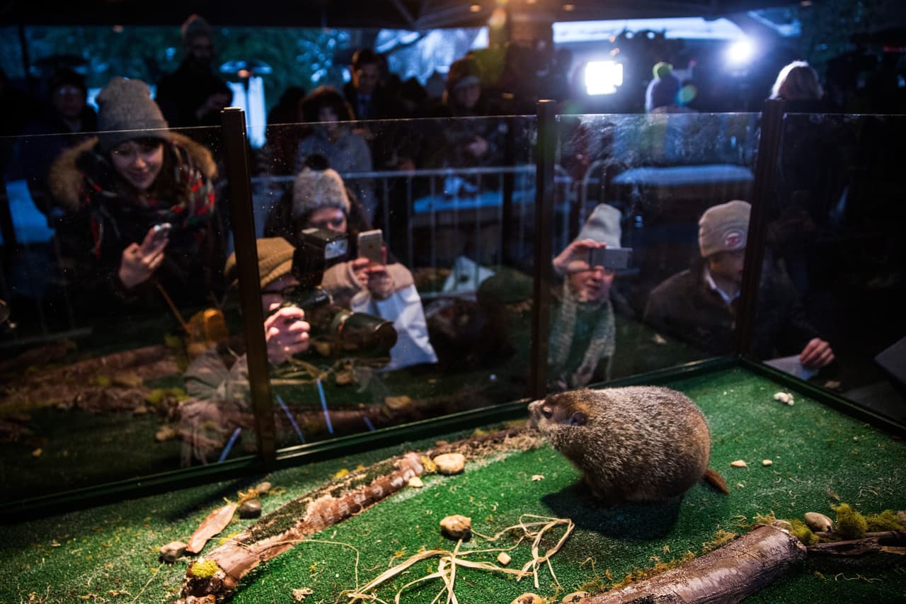 La marmota dijo que la primavera llegará temprano, contradiciendo la predicción de Phil.