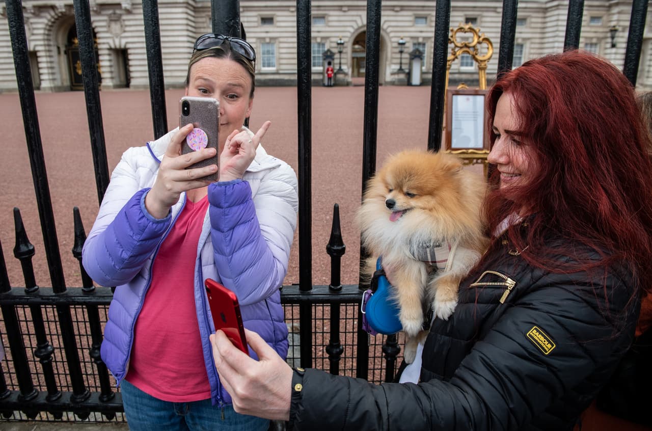Prince, un perro de la raza a Pomerania, fue llevado por su dueña a tomarse una foto junto al 
<b><a href="https://www.univision.com/famosos/el-nacimiento-del-hijo-de-meghan-se-anuncia-con-una-tradicion-real-que-se-remonta-a-varios-siglos-atras-video">anuncio oficial que colocó el palacio de Buckingham, en Londres</a></b>.