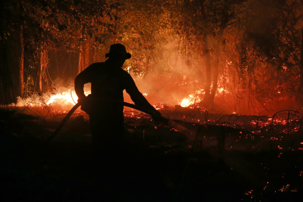 Un bombero rocía agua en un intento por extinguir un incendio forestal que arde en un bosque de turberas en Pulang Pisau, Kalimantan Central, Indonesia, el sábado 5 de septiembre de 2026.