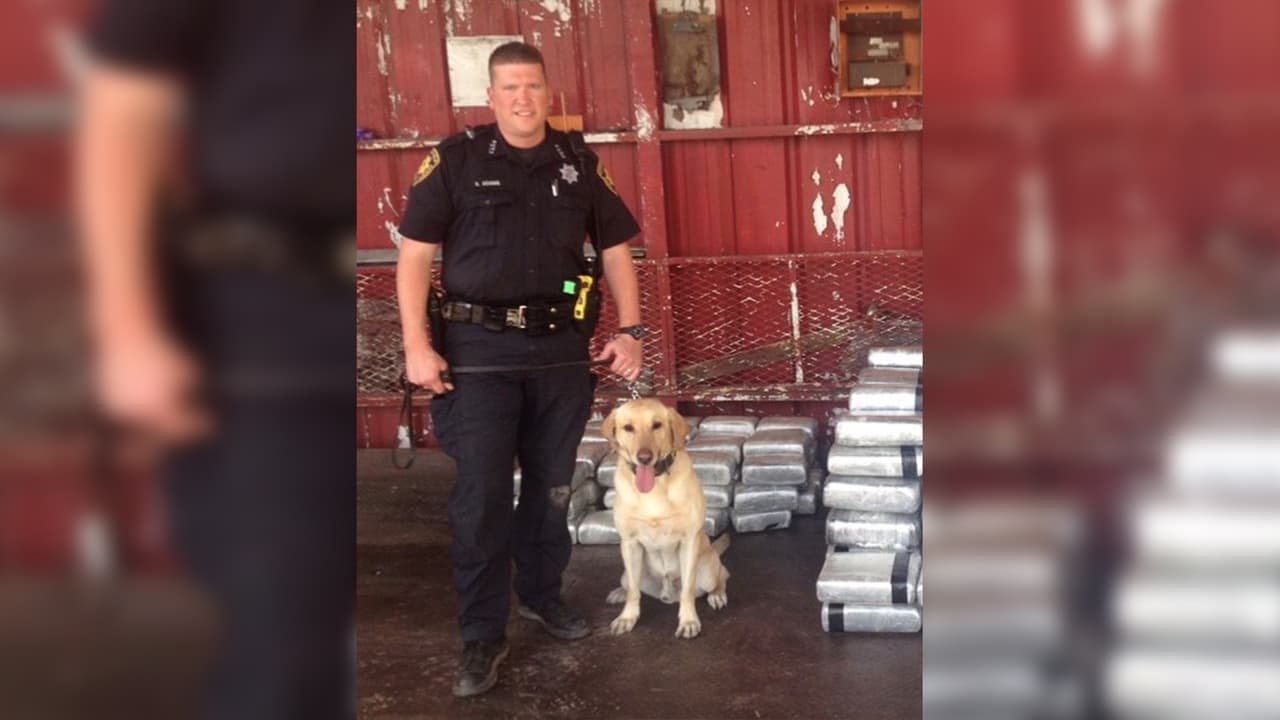 El perro policía colaboró con numerosas redadas de drogas y la corporación policiaca se manifestó orgullosa de honrar su servicio con las fuerzas del orden.