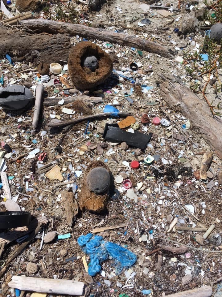 Lilian Ramírez hace un llamado a la gente a que apoyen el Día Internacional de Limpieza de Costas y añadió "pero sobretodo cuando vayamos a la playa llevarnos los desperdicios que generamos".