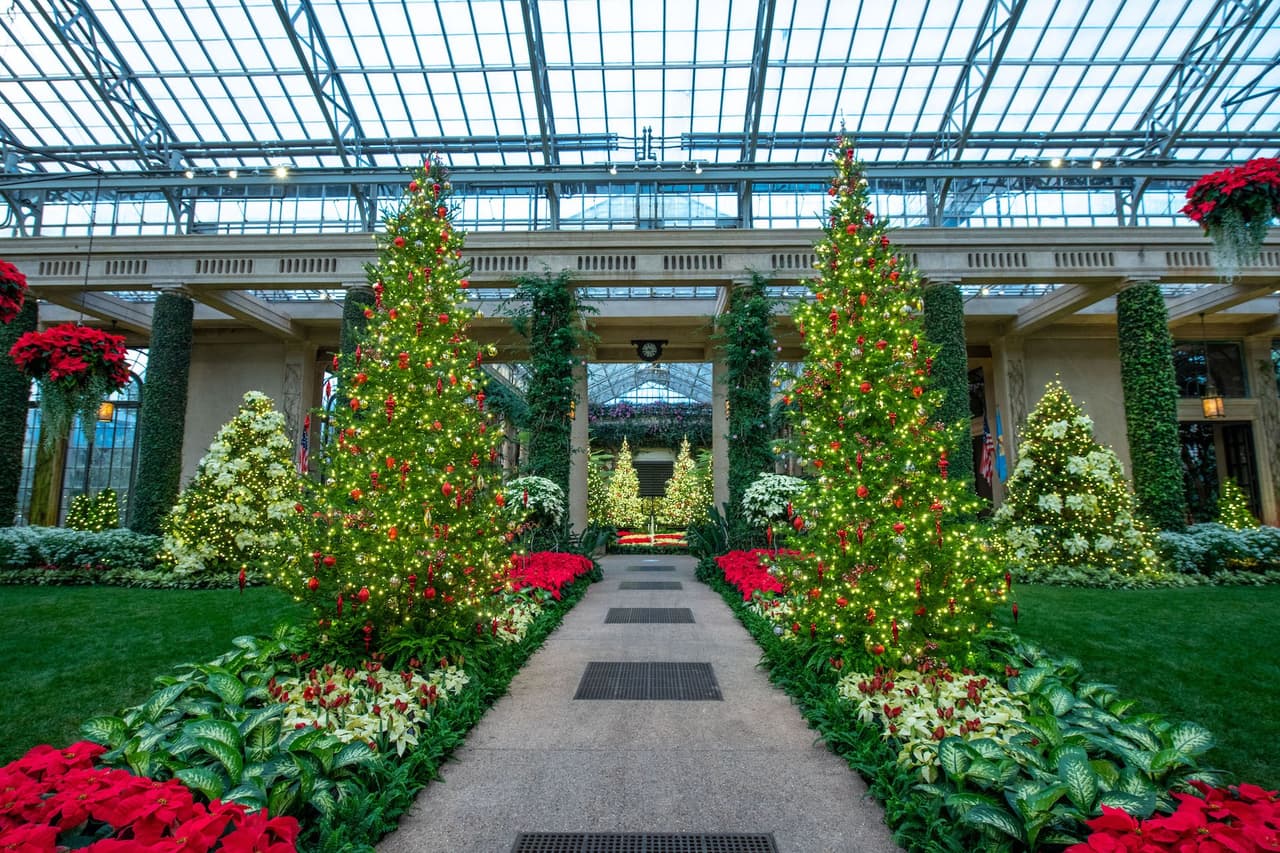 Una vista central del Conservatorio con las preciosas pascuas y árboles naturales.