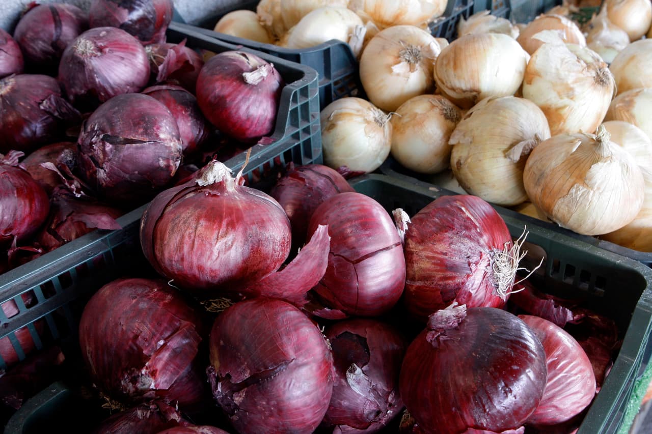 Aumenta a 979 el número de casos de salmonella causados por las cebollas contaminadas 