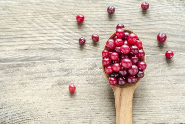 Gustavo Costaza, veterinario clínico, aconseja trozarlos bien, y verificar que estén libres de semillas y palillos.