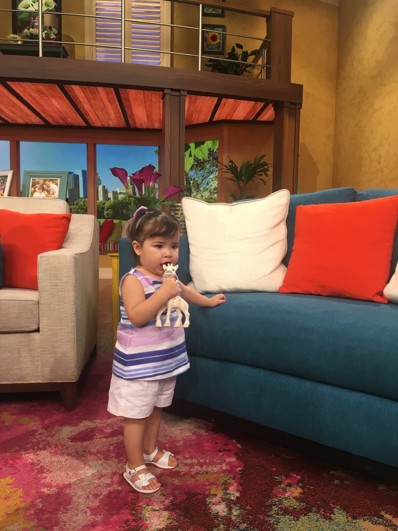 ¡Ternurita! Giulietta lista para vivir una nueva aventura.