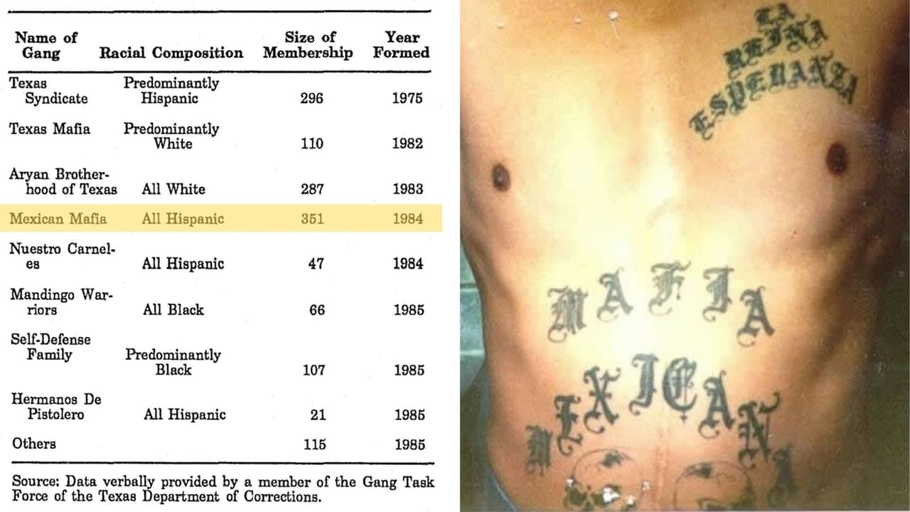La 
<b>Mexican Mafia</b> llegó a las 
<b>prisiones de Texas en 1984</b>. En 1990 eran la tercera pandilla más predominante en las prisiones texanas, según un estudio del DOJ titulado “La organización y estructura de las pandillas carcelarias: un estudio de caso en Texas”.