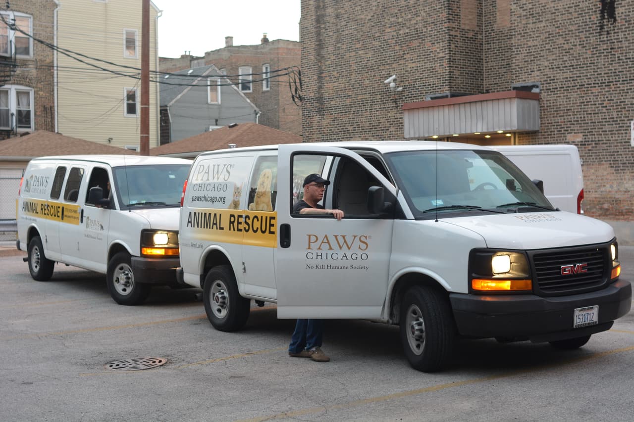 Un grupo de voluntarios de Chicago Paws rescatará a perros y gatos que se quedaron sin hogar por las inundaciones.
