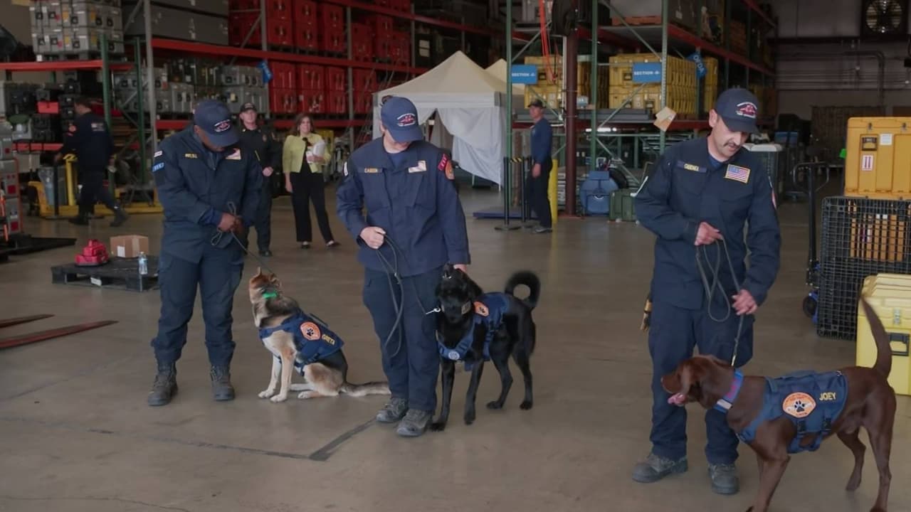 Bomberos de Los Ángeles envían rescatistas y perros de búsqueda a Venezuela