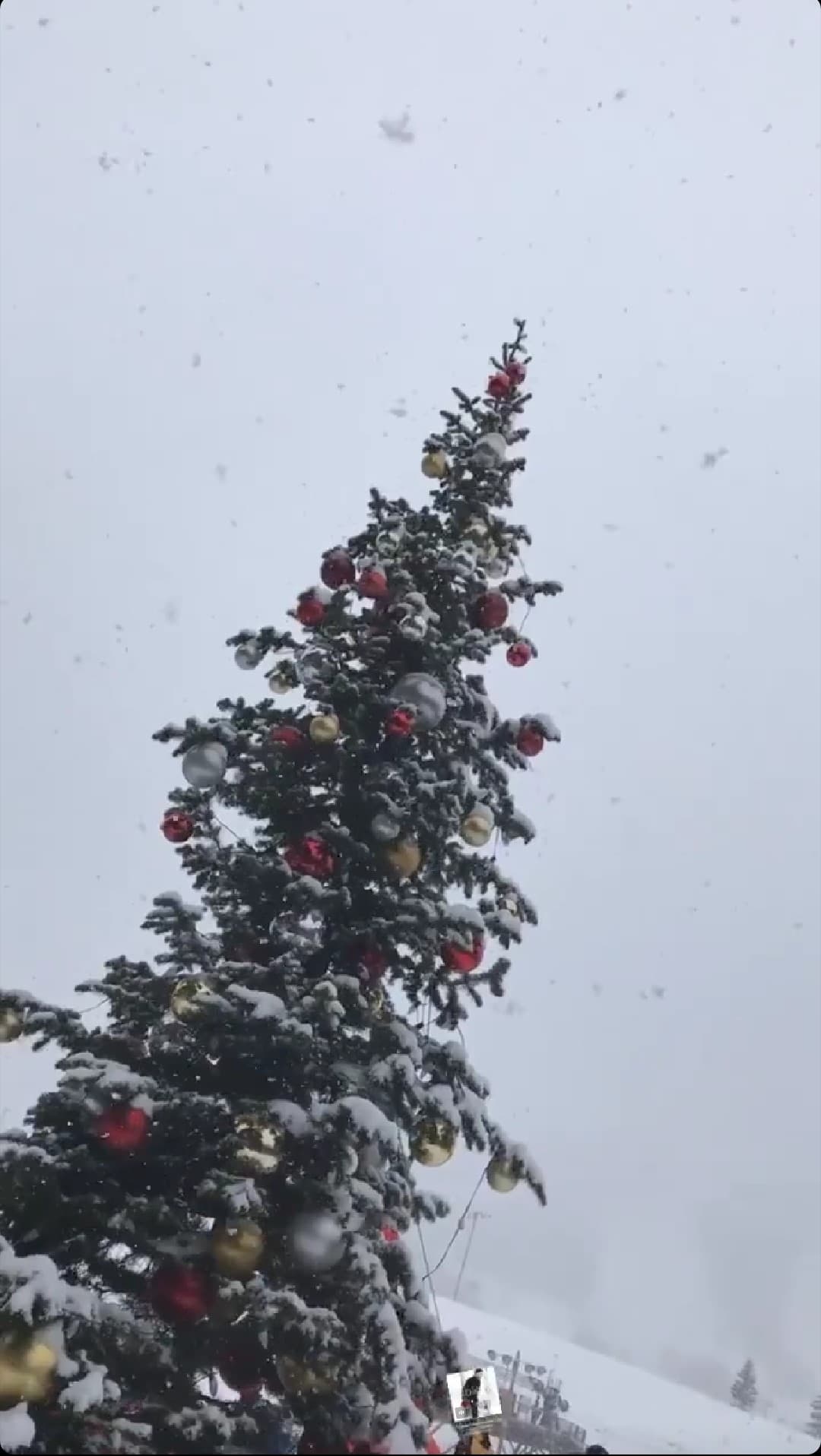 La conductora mexicana se tomó unos días para disfrutar la fecha en familia rodeada de bellos paisajes en las montañas nevadas.