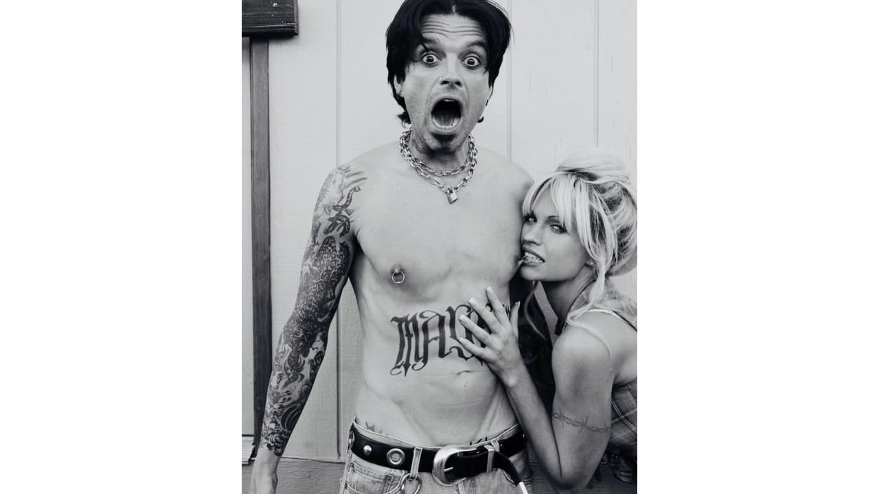 Sebastian Stan hace el papel de Tommy Lee.
