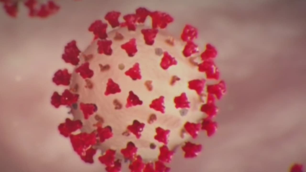 Vacuna contra el coronavirus no estaría lista muy pronto: experta de FIU