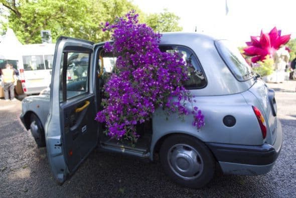 Empecemos nuestra vuelta al mundo con el empeño de este hombre por meter esta plantita en su auto, después de comprarla en la Feria de las Flores en Chelsea.
