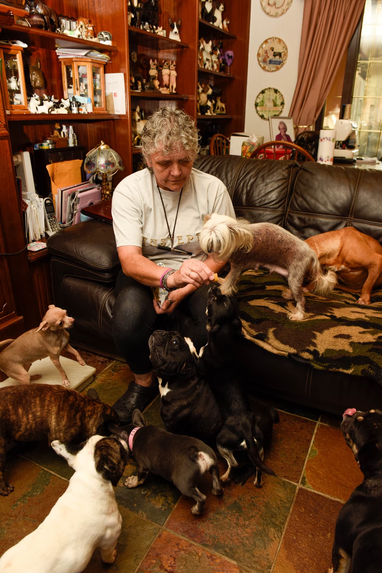 Deja que ellos mismos se acicalen lo suficiente y luego los deja jugar.