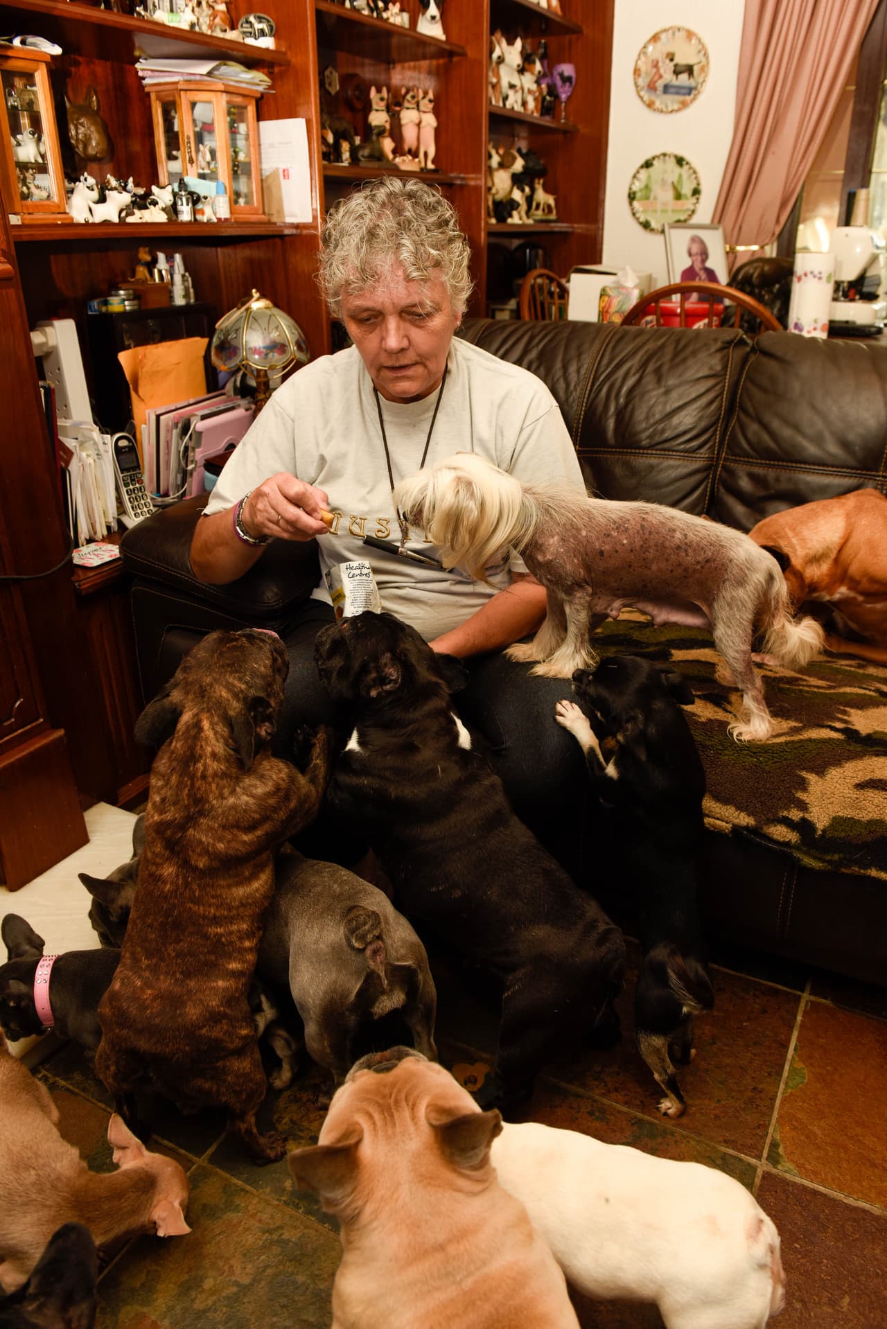 Desde entonces no ha mirado atrás. Toda su vida la ha pasado cuidando a sus amadas mascotas.