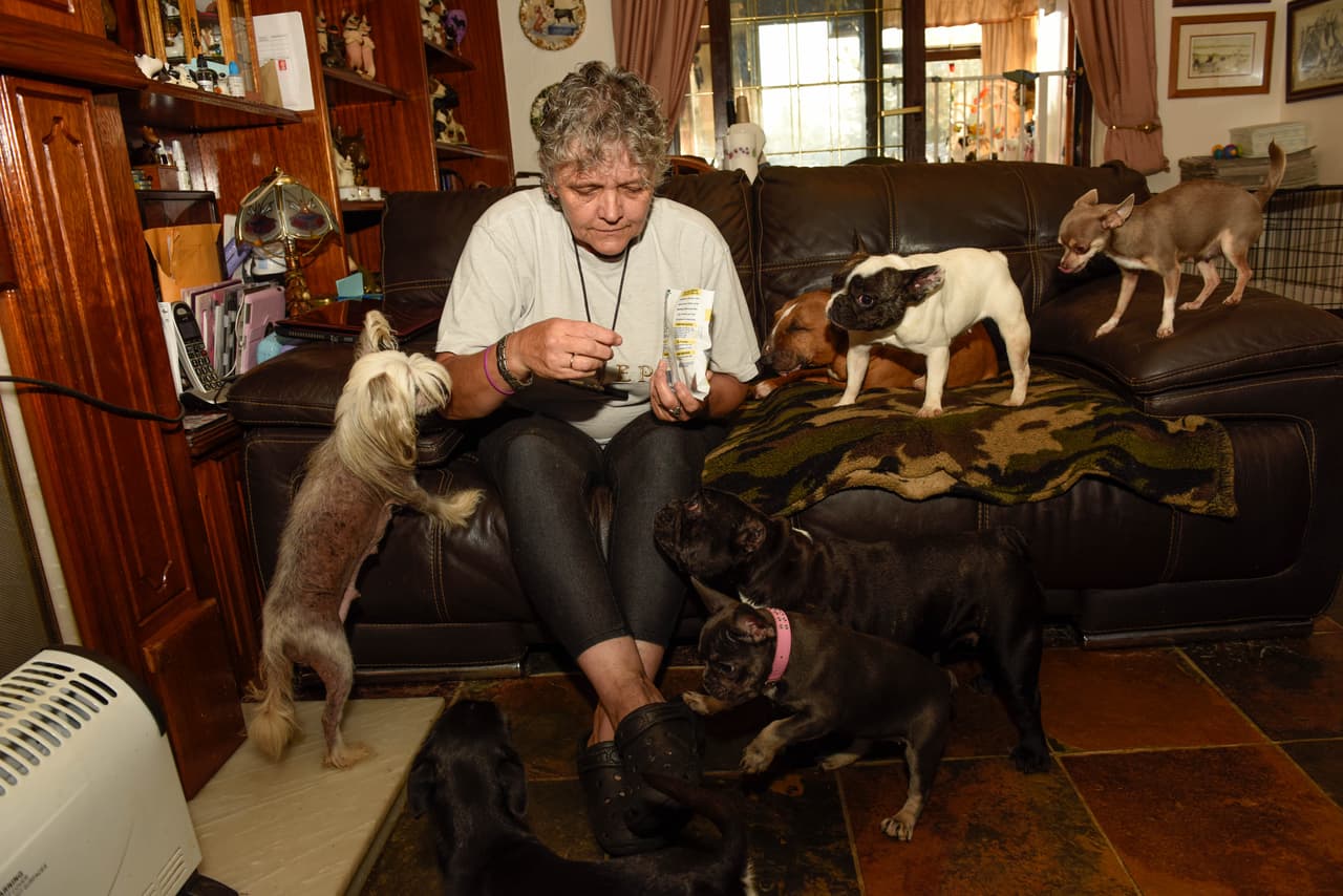 También cuidan que las camas de los perritos estén en condiciones.