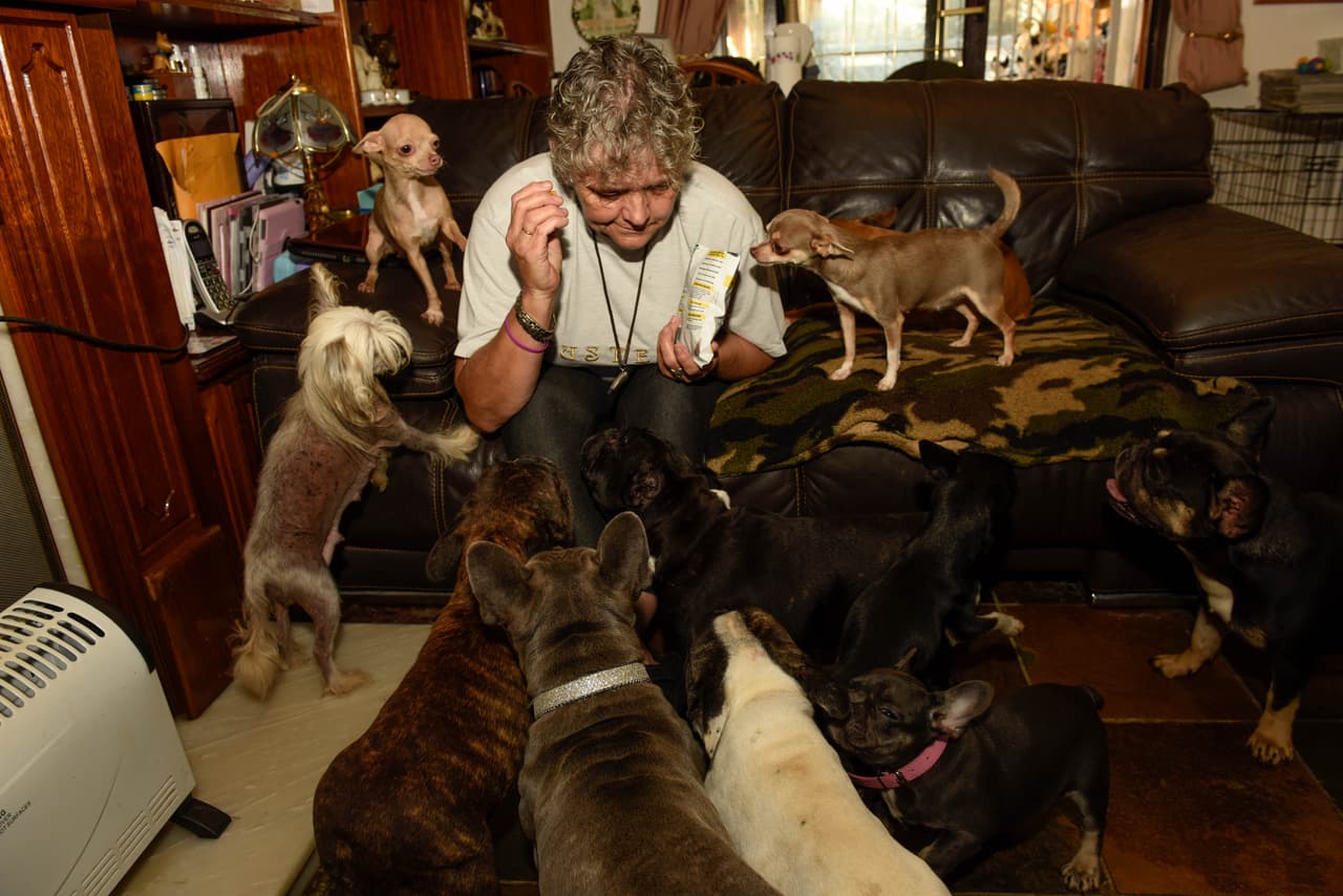 ¡Ella realmente ama los perros! No creerás con cuántos vive.