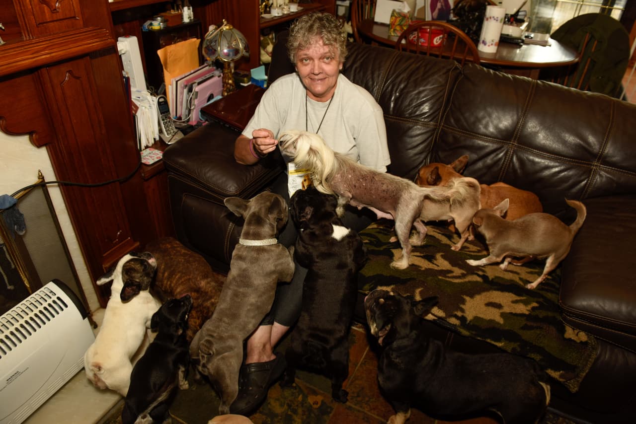 ¿Crees que sea cierto que no despliegan un mal olor en casa?