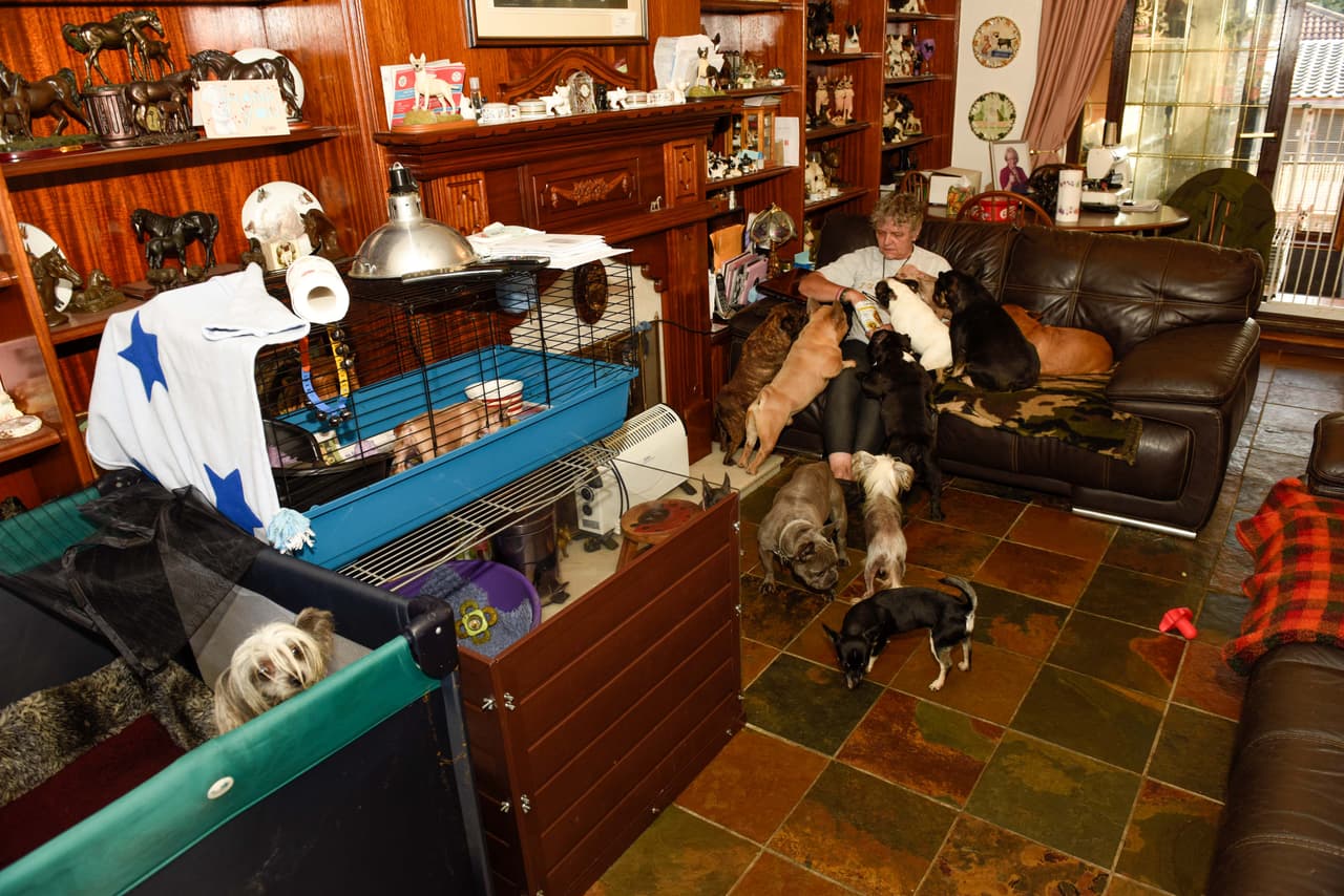 ¡No quieren malos olores en casa!