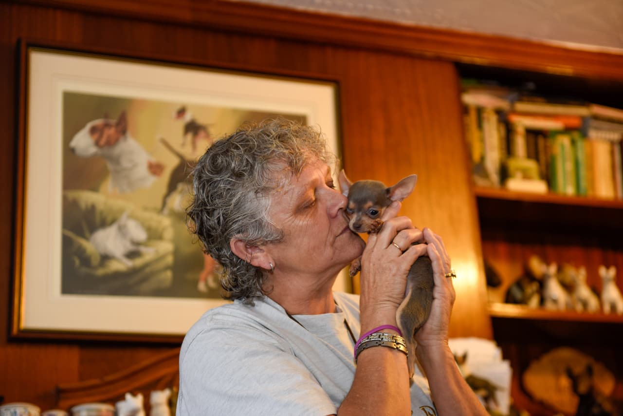 ¡Awwww! A todos los quiere por igual.