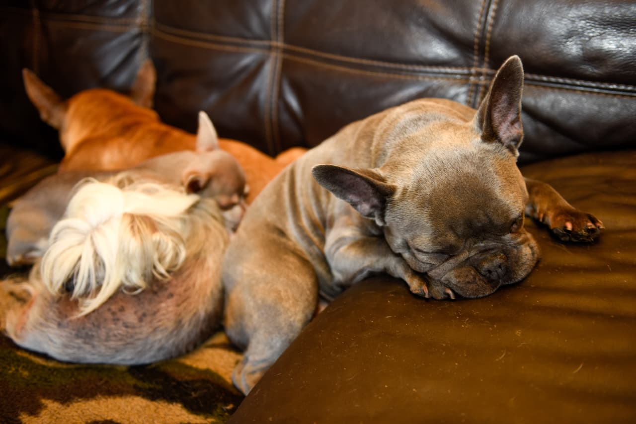 Afortunadamente su esposo, Tony Morgan, le ayuda a sobrellevar el intenso cuidado.