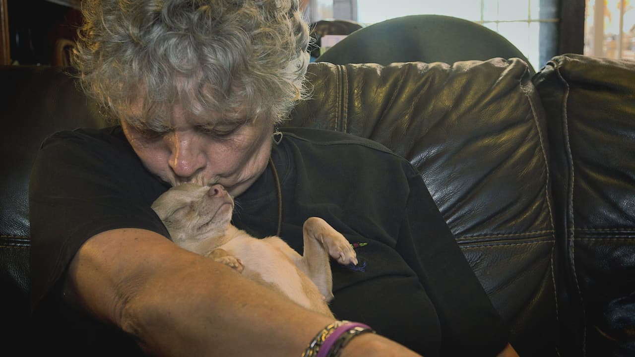 ¿Es increíble, no lo crees?