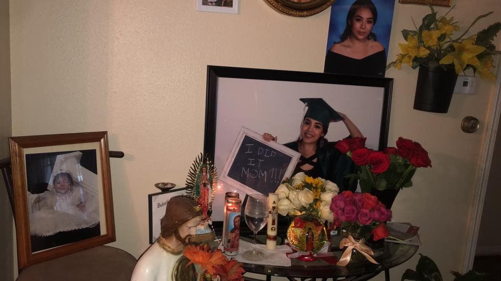 La persona que atropelló a Jannet manejaba un auto color blanco 2014 Mitsubishi Lancer, según la policía de Irving. 
<br>
<br>