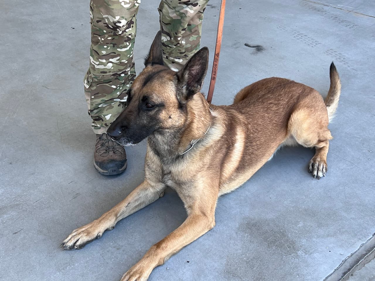 El es Rocky el nuevo agente de la Patrulla Fronteriza que rescata inmigrantes indocumentados en el desierto. Lleva 3 meses en la agencia migratoria.