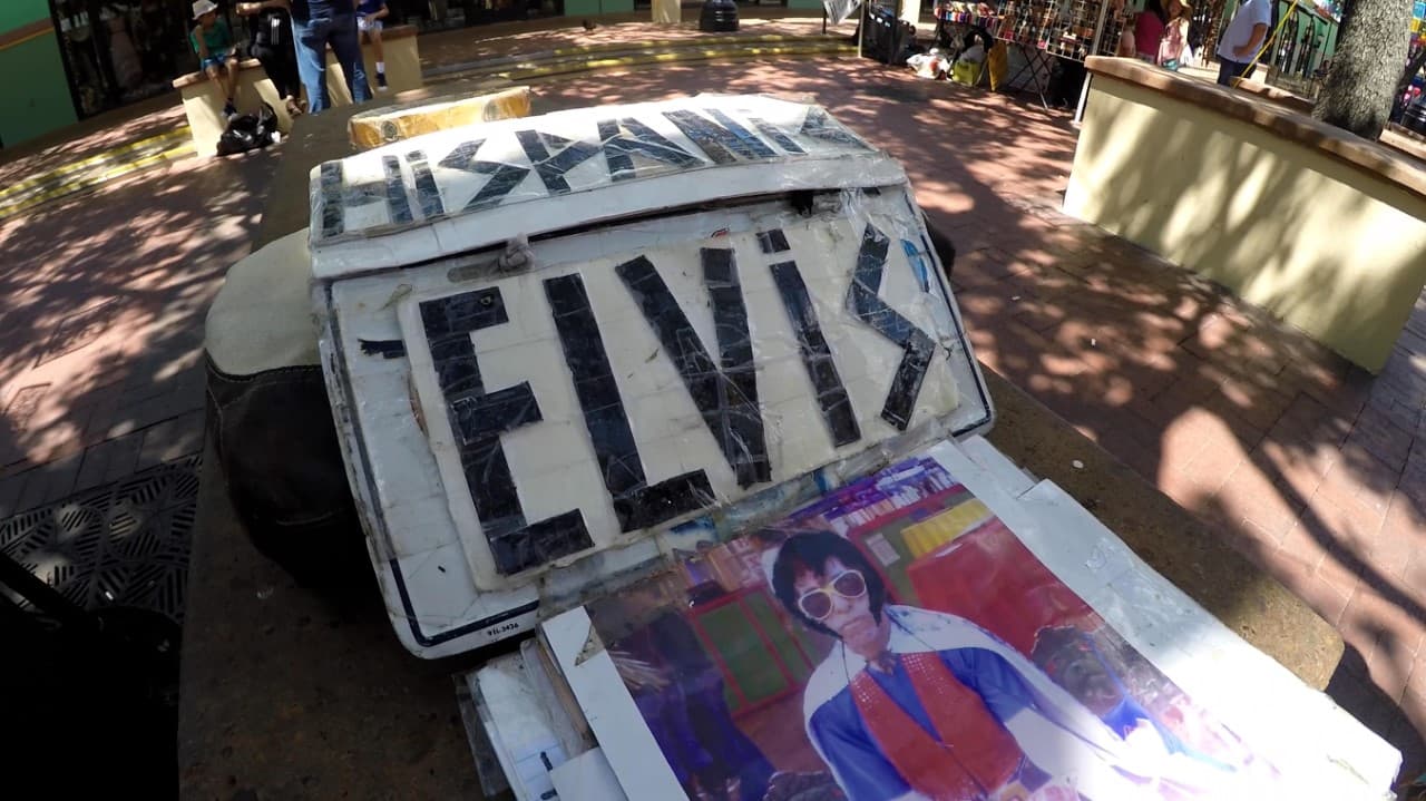 Elvis estuvo décadas recorriendo las calles del centro de la ciudad y dándole vida al Market Square, de esta forma se convirtió en una de leyendas locales de la ciudad.