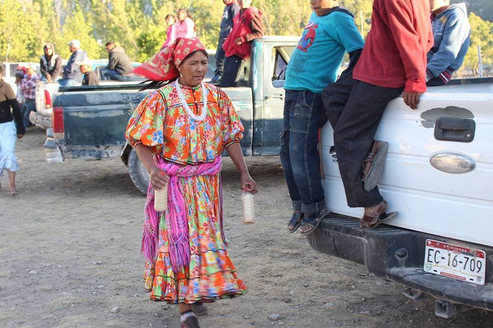 Su dieta incluye bebidas como el pinole o el tejuino, que son hechos con maíz y son usados como energizantes.