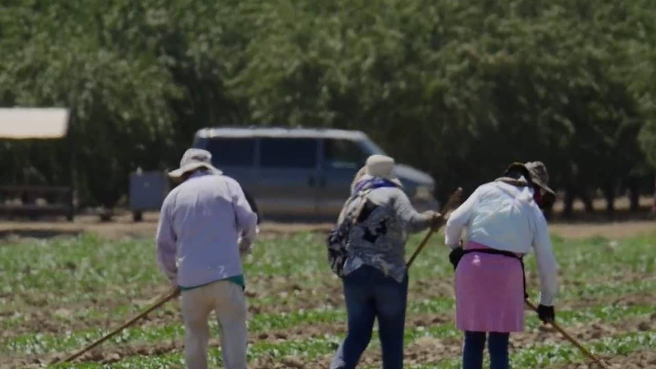 Vigilan a 140 trabajadores agrícolas por posible exposición al sarampión en Fresno