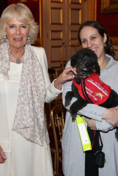 Los perros y sus dueños visitaron el palacio para la demostración con la Duquesa de Cornwall y el Príncipe de Gales, entre ellos estaban Cerys y su perro Wendy y Yasmine Tombland, una chica que sufre de alergia a los cacahuates.
