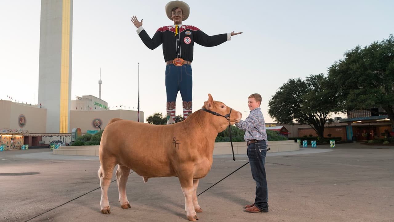 <b>Información y precios de los puestos de estacionamiento</b> en la Feria Estatal de Texas 2023:
<br>La Feria cuenta con varias opciones de estacionamiento, los organizadores recomiendan utilizar el de la
<b>Puerta DOS, en el 925 S. Haskell, tiene un costo de $20 por auto</b>.
<br>
<b>Ofrecen una opción Premium, tiene un costo de $40 por aut</b>o, y la entrada está disponible por la
<b>Puerta de Grand Avenue desde Cullum Blvd., y Parry/Haskell los sábados y domingos</b>.
<br>Hay lugares para bicicletas en las puertas 5, 6 y 11, se reservan por orden de llegada.