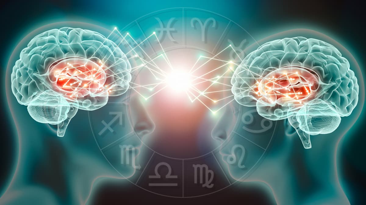 Muchas personas se quejan de haber perdido un amor, un amigo o un trabajo, y no saben la razón. La mayoría de los problemas surgen por la falta de la comunicación o por las malas interpretaciones. Sin embargo, existe una técnica que se apoya en una estupenda cualidad de los seres humanos inteligentes y compasivos: la empatía.