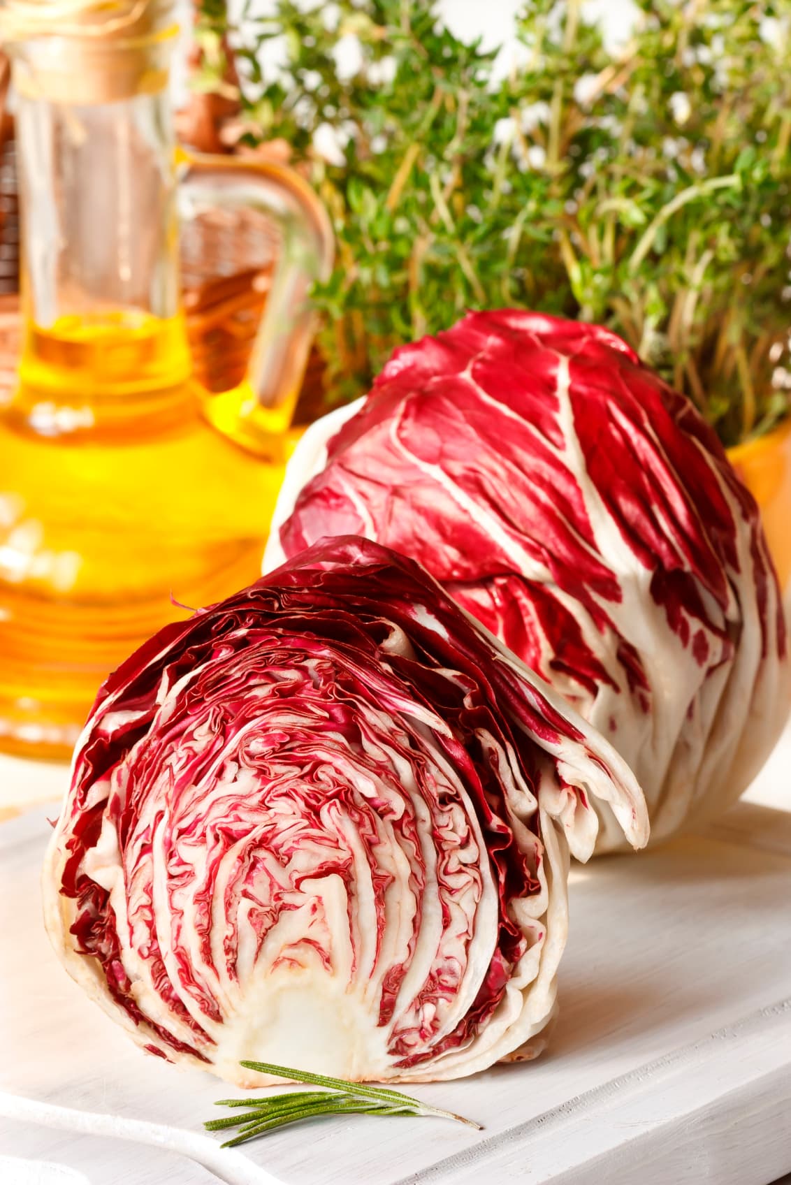 La achicoria: rica en minerales y antioxidantes.