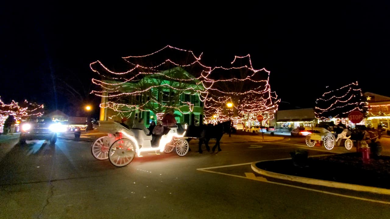 Muchos otros también optan por los paseos en carruajes.