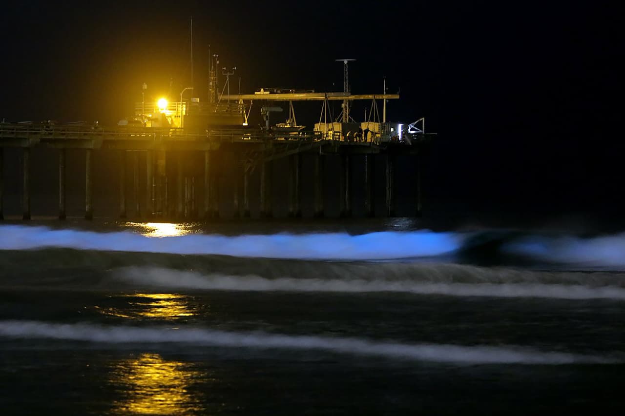 "La última vez que tuvimos este fenómeno fue en septiembre de 2013, y el último de grandes proporciones fue en octubre de 2011", dijo Michael Latz sobre este fenómeno al diario San Diego Union-Tribune. Latz es experto en bioluminiscencia de la de la Universidad de California en esa ciudad.
<br>