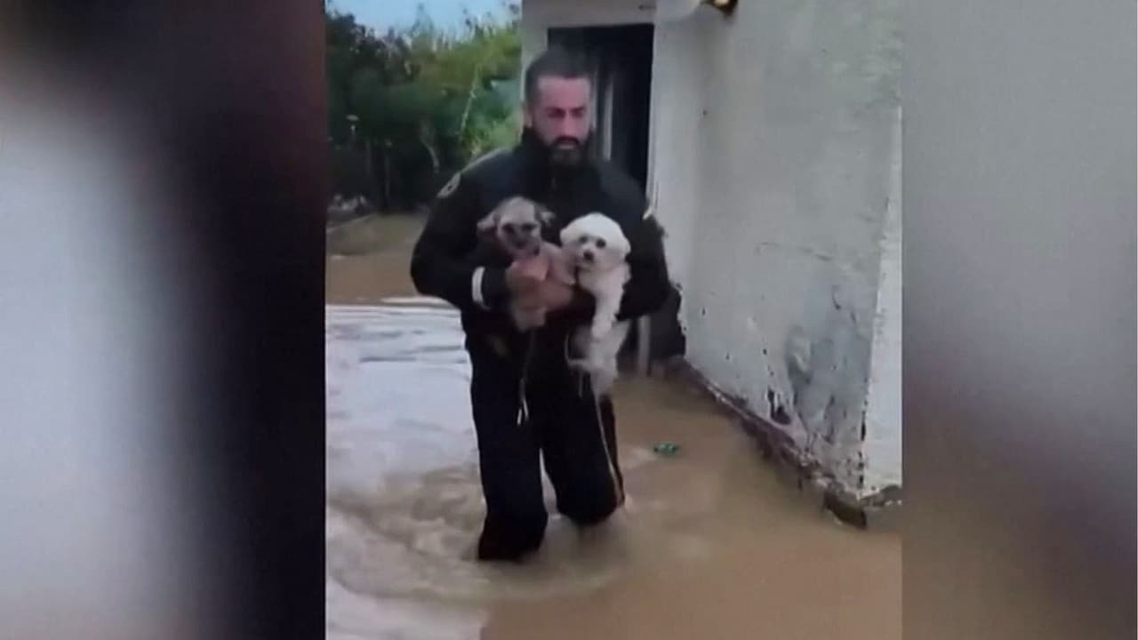 Rescatan en helicóptero a personas y mascotas atrapadas en los tejados: Así se ve España tras las fuertes inundaciones