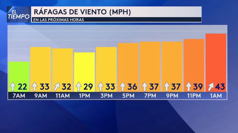 <b>Las fuertes ráfagas de viento podrían superar las 40 millas por hora</b>, por lo que se recomienda tener precaución con los adornos y plantas en los hogares. Además, los conductores, especialmente aquellos de camiones de 18 ruedas o de carga, 
<b>deben extremar las precauciones en carreteras y autopistas.</b>