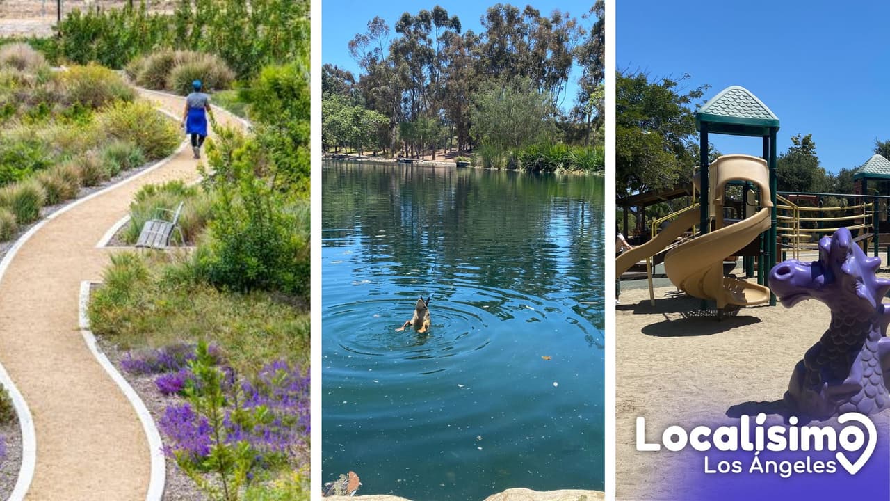 El conglomerado de parques y áreas recreativas más grande de Los Ángeles tiene múltiples espacios para niños, miradores, caminerías, lagos y hasta quioscos o casetas para que celebres tus fiestas o realices allí una carne asada.