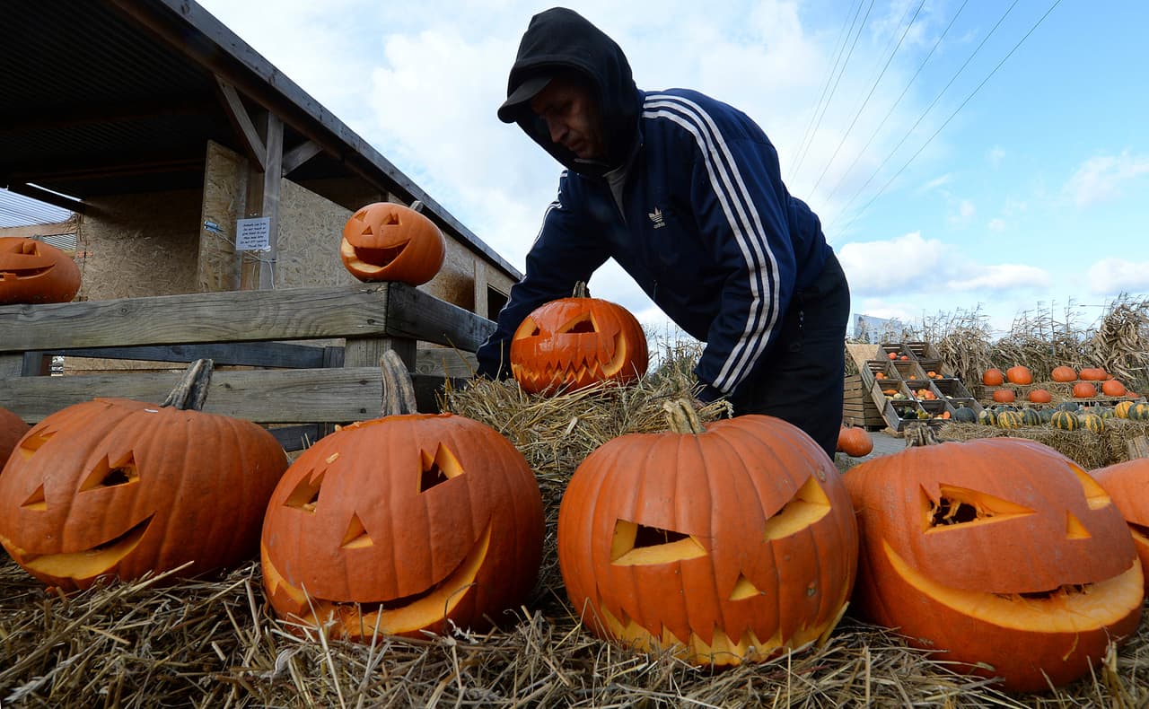 En California son cientos de granjas las que abren sus puertas como parques temáticos para que la familia disfrute de la búsqueda de la mejor calabaza para cada hogar.