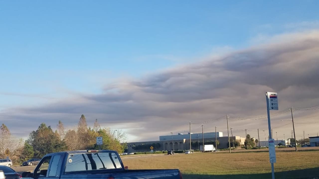 Fotografía tomada por Mayra Leticia Leal.