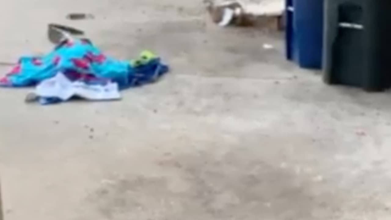 Trinh practica Jiu Jitsu, entre otras disciplinas y es fanático del programa 'Cazador de Cocodrilos'.