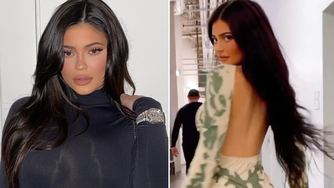 Kylie Jenner sufrió un desliz con sus costosas extensiones de pelo: sus perros se las mordieron
