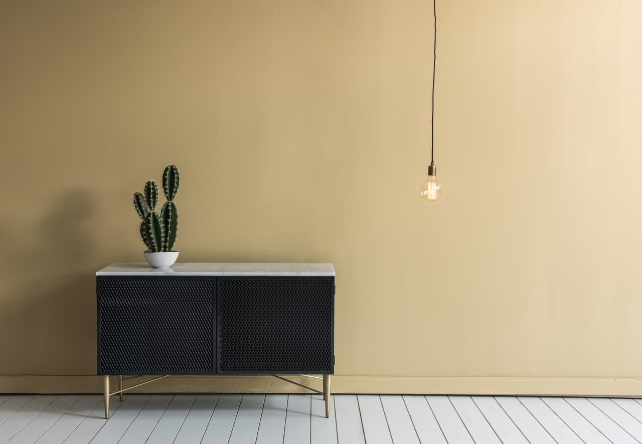 Los cactus son ideales para dar vida y color a cualquier rincón de nuestra casa, sin tener que preocuparnos demasiado en su cuidado.