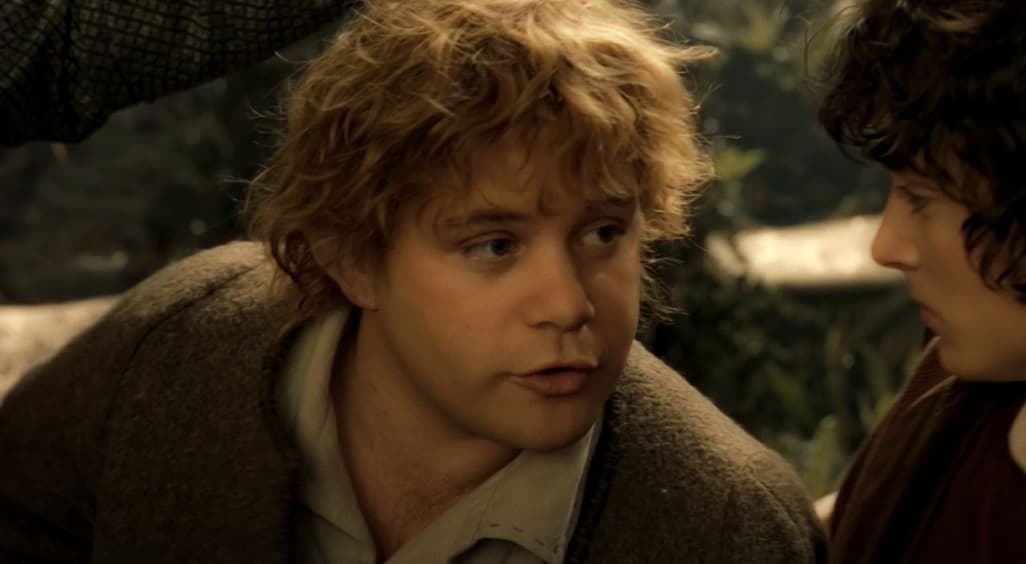 <b>Sean Astin </b>
<br>El mejor amigo y leal compañero de Frodo, el hobbit Samsagaz Gamyi, fue interpretado por el actor Sean Astin, quien si bien ha tenido varias participaciones en el cine en cintas como 'Gloria Bell' (2018) o 'Extraction' (2020), gran parte de su carrera la ha llevado a la televisión.
<br>