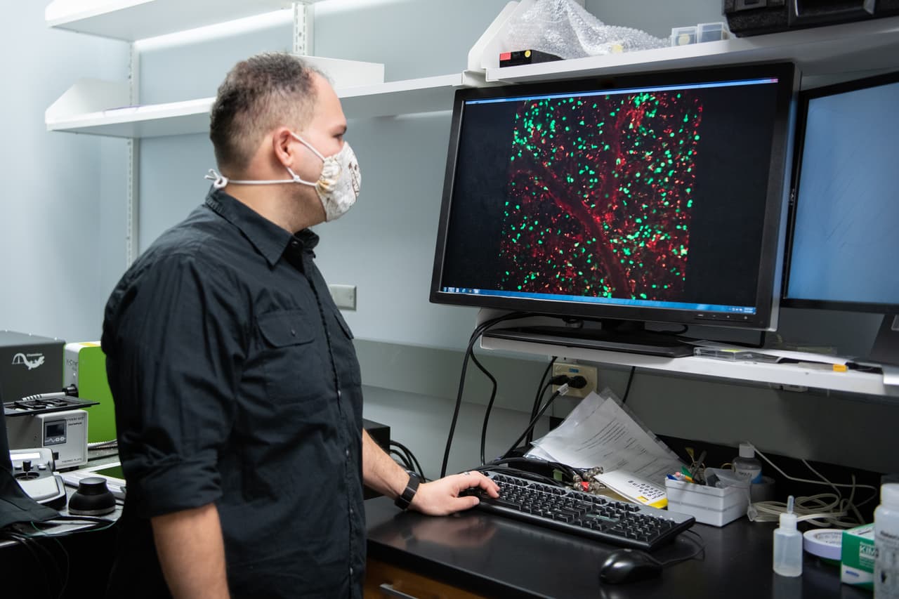 La muerte del donante no estuvo relacionada con el coronavirus y sus pulmones no sufrieron ningún. Lo que los hizo viables para el trasplante, según cuenta el hospital.
<br>