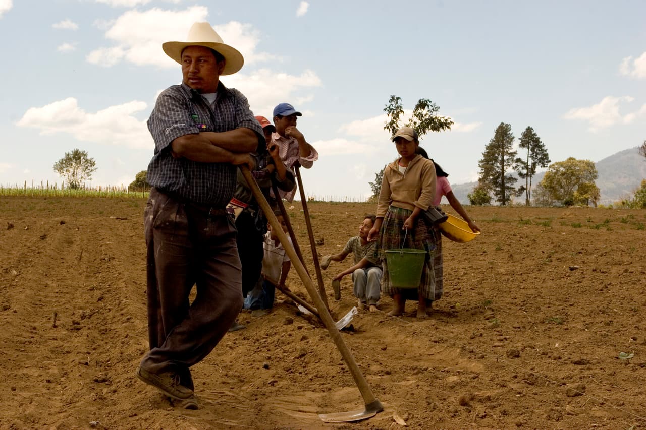 “Somos los menos vistos”: campesinos se sienten desprotegidos frente a la pandemia del coronavirus en EEUU