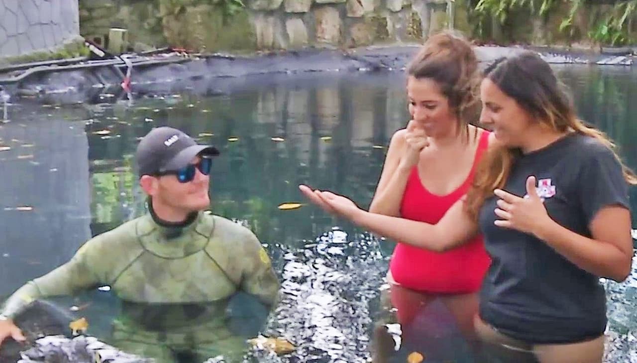 La audaz conductora grabó un reportaje para Despierta América en el que conoció más de la vida de feroces animales, como lobos, tigres, osos y temibles lagartos, pero también se armó de valor y se dispuso a nadar a tan solo unos centímetros con el cocodrilo más grande del estanque.