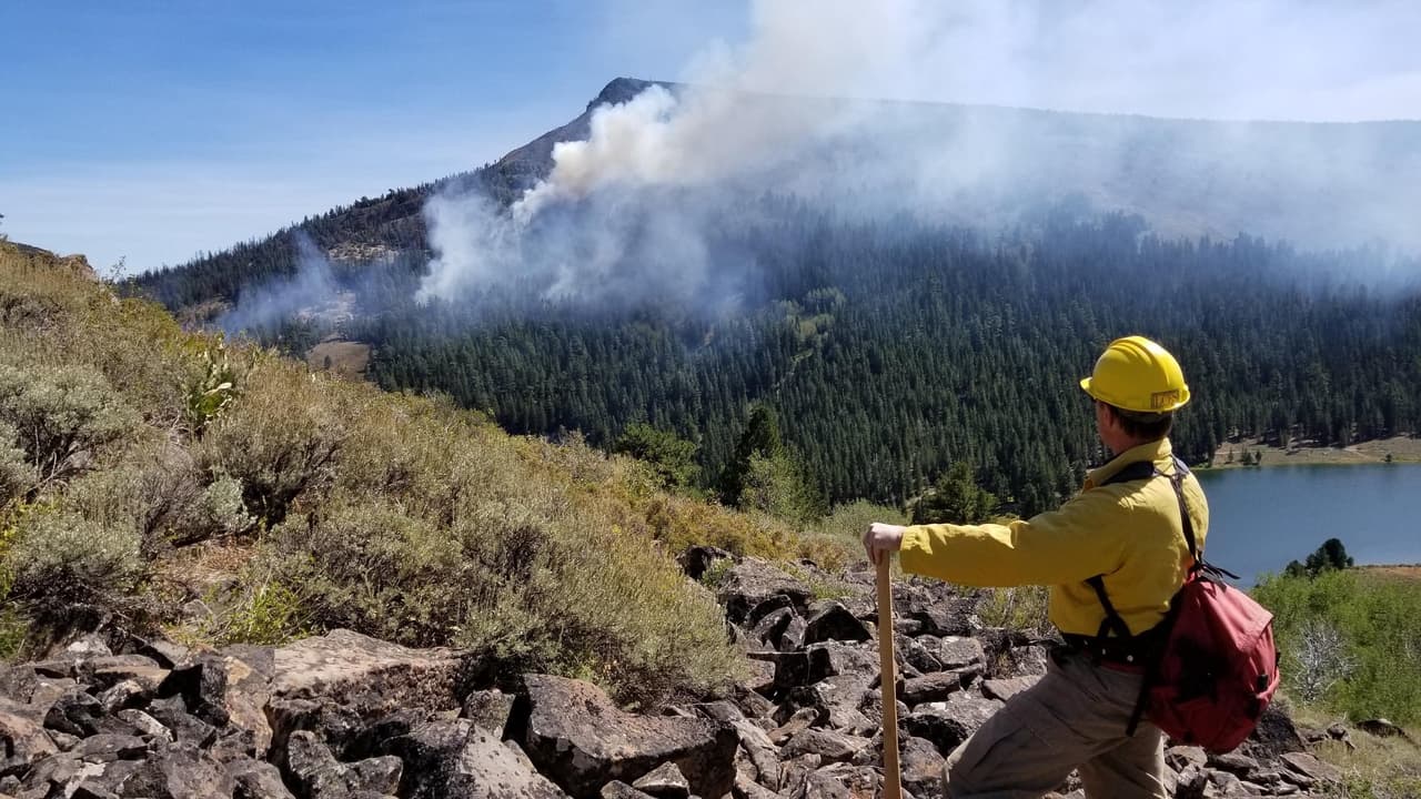 Debido a los incendios históricos y sin precedentes que han azotado al estado el 
<a href="https://www.fs.usda.gov/detail/r5/news-events/?cid=FSEPRD801394" target="_blank">Servicio Forestal de Estados Unidos</a> anunició este miércoles el cierre temporal de los 18 Bosques Nacionales en California. Imagen del W5 Cold Springs Fire.